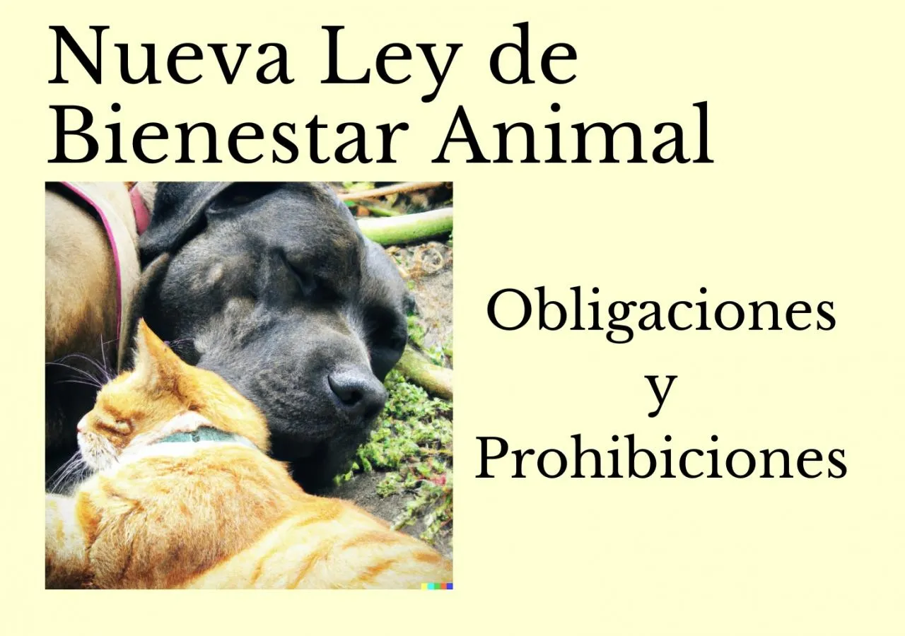 Ley de Bienestar Animal: Obligaciones y Prohibiciones
